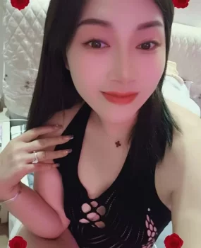 夫子庙新人燕子